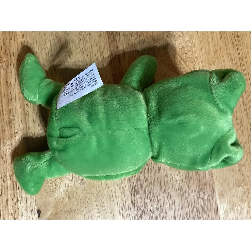 Winnie the Pooh Dressed as a Frog 8